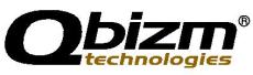 Qbizm technologies